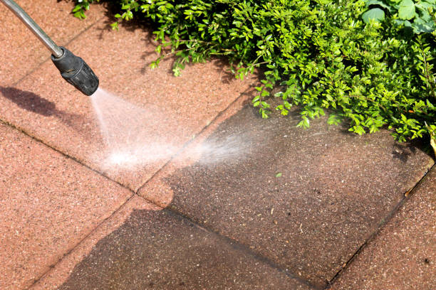 Trusted Windsor, CA Pressure Washing Experts